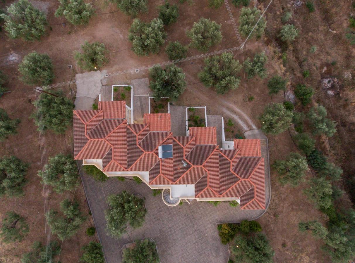 Elaionas Aparthotel Leonídion Exteriör bild